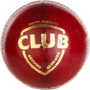 sg club leather ball (red), cricket, 160 grams