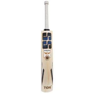 gg smacker punch english willow cricket bat